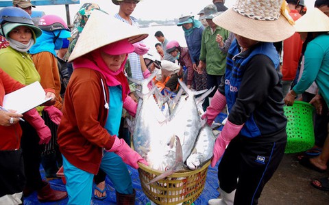 Lời nói đọi máu, xin đừng...