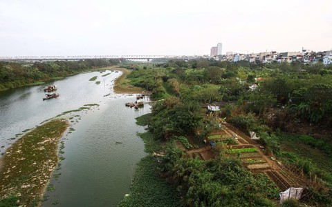 ​Quy hoạch sông Hồng không được tạo dự án