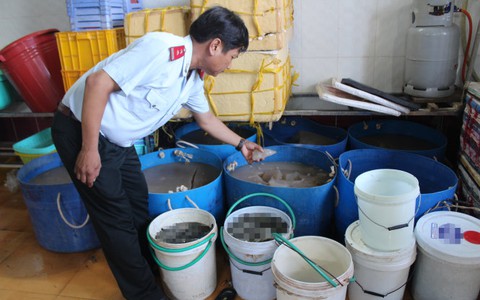 Đưa tạp chất vào tôm: Xử lý hình sự mới đủ răn đe
