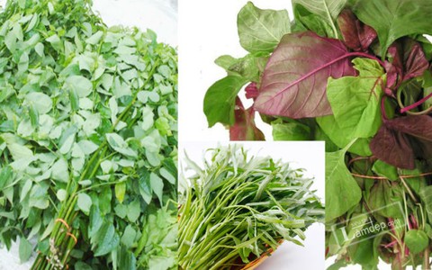 5 loại rau thanh nhiệt thông dụng mùa hè