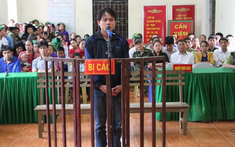 Chặt phá gỗ pơmu, lĩnh 3 tháng tù