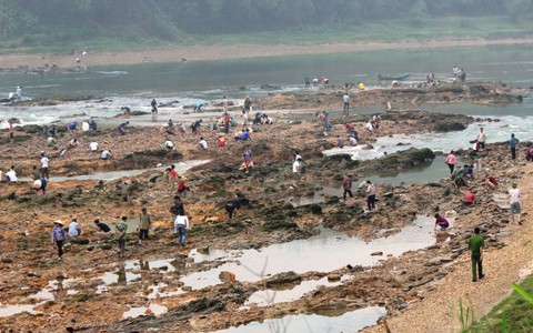 Kéo nhau tìm đá quý mong đổi đời