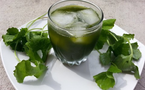 Nước mát dễ làm cho những ngày hè oi ả