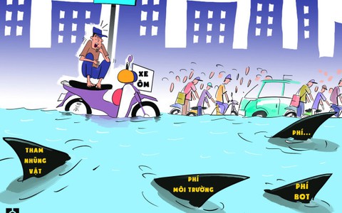 Ráng lên tới bình minh