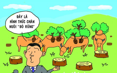 Làng Bồng Lai, cơn cao hứng đáng giá ngàn vàng
