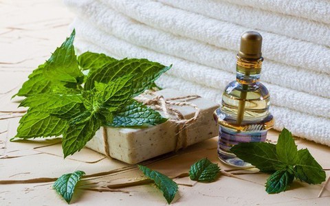 4 điều cần nhớ khi dùng mỹ phẩm chứa bạc hà