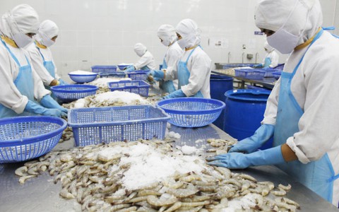 Doanh nghiệp bảo trái luật, Bộ Y tế bảo không