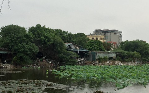 Hà Nội thanh tra biệt thự 'mọc' trên đất cây xanh