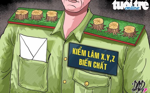 Ai phá rừng?