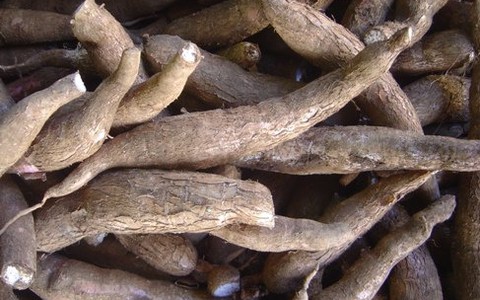 Chạy đi, đừng kêu cứu nữa