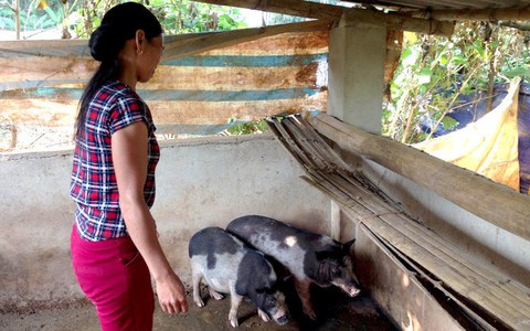 Mong cùng Tuổi Trẻ góp phần đẩy lùi tiêu cực