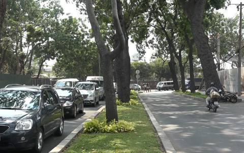 Gỗ từ cây xanh đô thị thí điểm làm bàn, ghế ở công viên