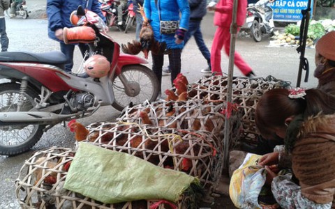 Phê bình chủ tịch quận, huyện để mua bán gia cầm trái phép
