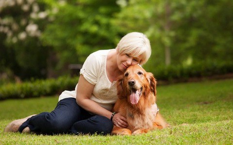 Đặc điểm gene lý giải vì sao loài chó gần gũi với con người