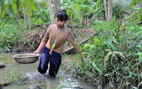 Cô bé mồ côi bươn chải kiếm tiền nuôi con chữ