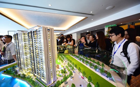 Mảng xanh trong nhà phố lên ngôi
