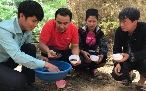 Quyền Linh đồng hành chiến dịch "Bảo vệ lá gan trước khi quá muộn"