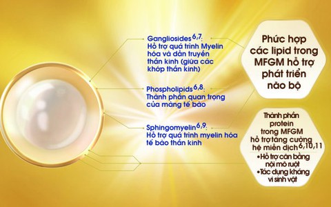 Dinh dưỡng có thể giúp phát triển EQ cho trẻ em