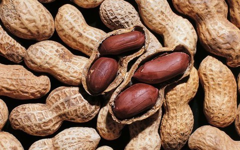 Nghiên cứu đột phá trong điều trị tình trạng dị ứng đậu phộng