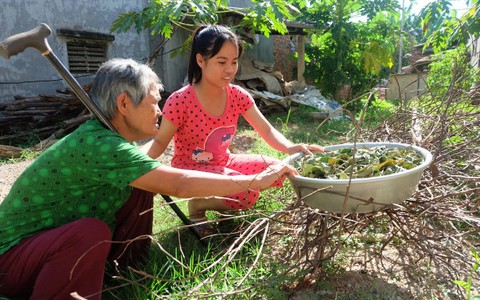 Liễu không yếu đuối