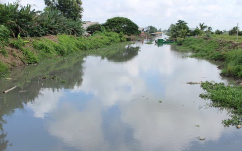 Những con kênh nước đen như cà phê