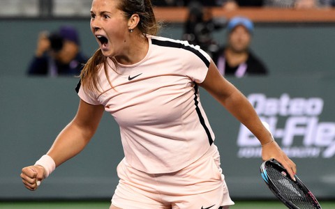 Halep và Venus cùng bị loại ở Giải quần vợt Indian Wells