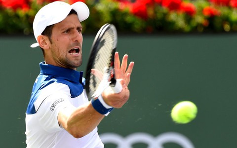 Djokovic khẳng định đã bình phục chấn thương