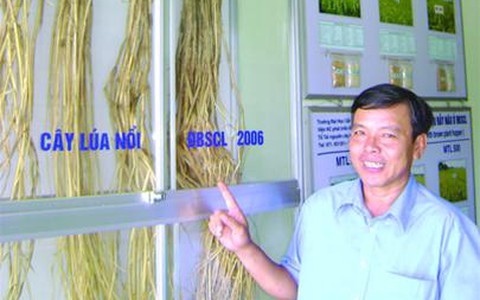 Giữ lại lúa xưa