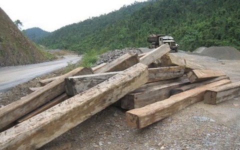 Ngoài vòng pháp luật