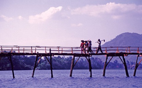 Teruyo và nhịp cầu ảnh