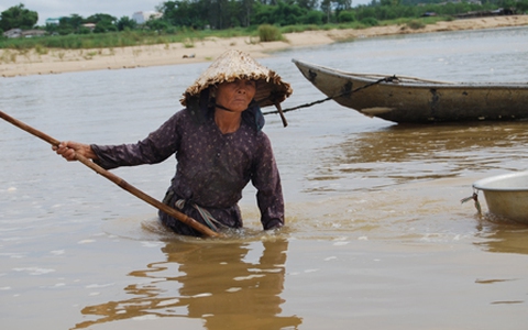Người mò don già trên sông Trà