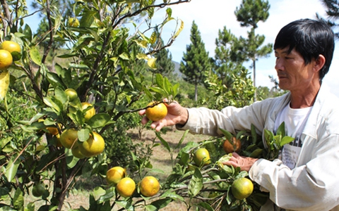 Những nông dân làm khác