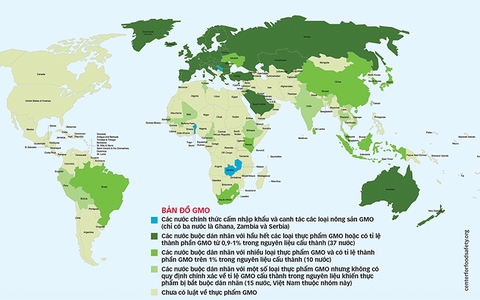 Khi Monsanto dễ dàng trở lại Việt Nam