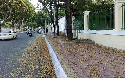 Quà mưa
