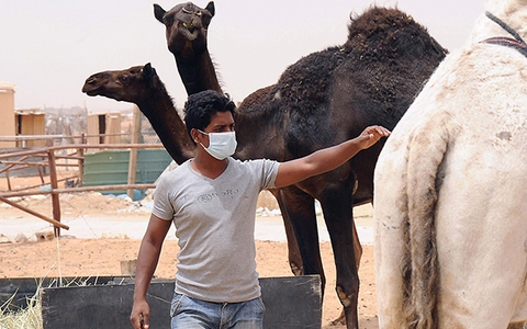 MERS còn đáng sợ hơn SARS