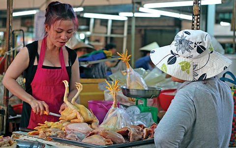 Thói quen tiêu dùng cứu chăn nuôi được bao lâu?
