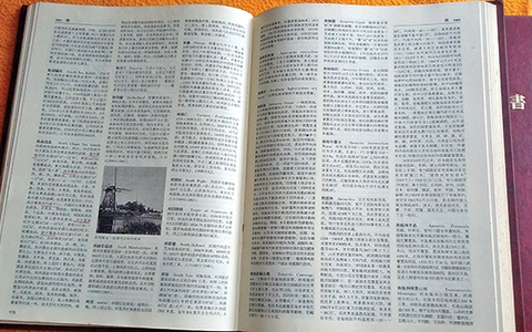 Tên theo chủ: Qua vụ Google và vụ Britannica tiếng Việt