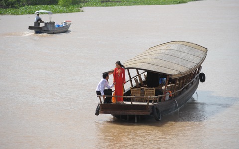 Làm "lục bình trôi" trên sông