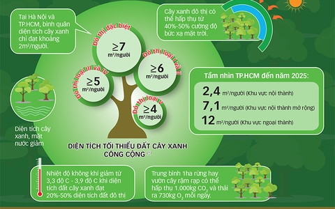  Ai lấy mất mảng xanh đô thị ?