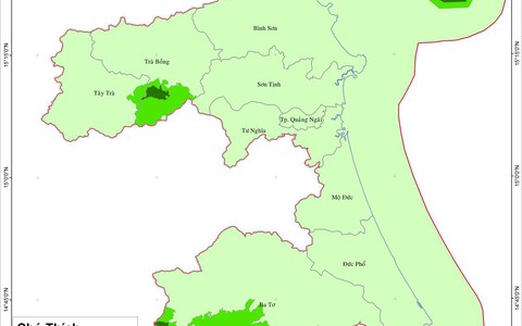 Sự đánh đổi quá mạo hiểm?
