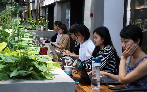Nhiều bất lợi nhưng tiếp tục hấp dẫn
