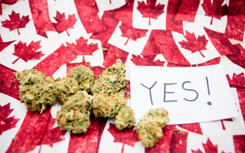 Canada hợp pháp hóa cần sa: Con bạch tuộc lắm vòi