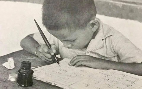 Xa xôi mực tím