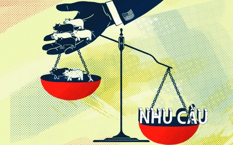 Thị trường thịt heo: Giới hạn của tương quan Việt Nam - Trung Quốc