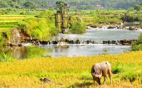 Nhìn vào dòng du khách Việt: Sức mua nội địa và sức mạnh nội tại