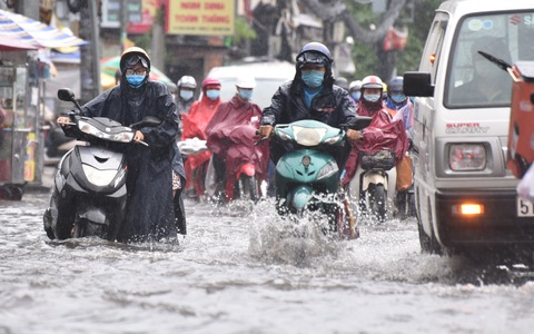 Thị trường thịt heo: Nhìn từ các chủ trang trại