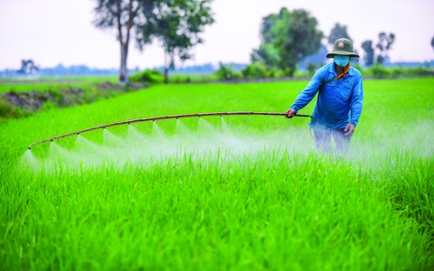 Quá nhiều hóa chất trong nông nghiệp