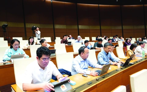 Giữa "ngã ba" tốc độ và chất lượng lập pháp