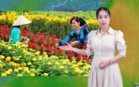 Thời tiết đêm 2 ngày 3-2: Bắc Bộ trời rét, mưa vài nơi; Nam Bộ và TP.HCM ngày nắng, đêm không mưa