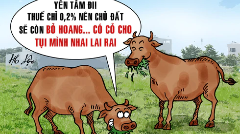 Thuế đất bỏ hoang 0,2% là cao hay thấp?